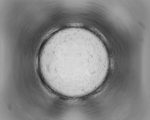 X0000114490725200911301105