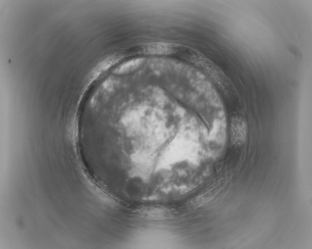 X0000114490726200911301105