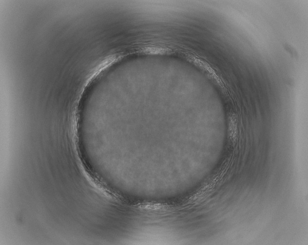 X0000114490730200911301105