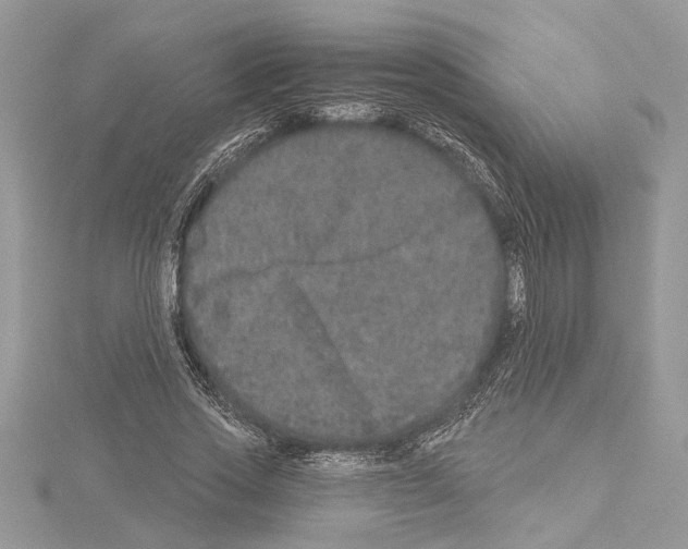 X0000114490733200911301105