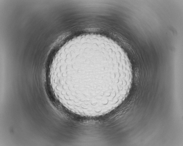 X0000114490734200911301105