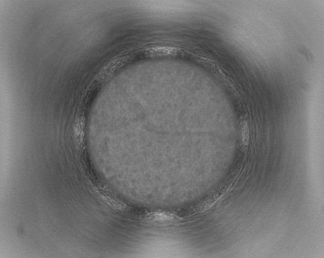 X0000114490737200911301105