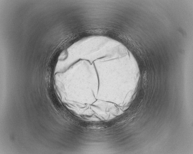 X0000114490739200911301105