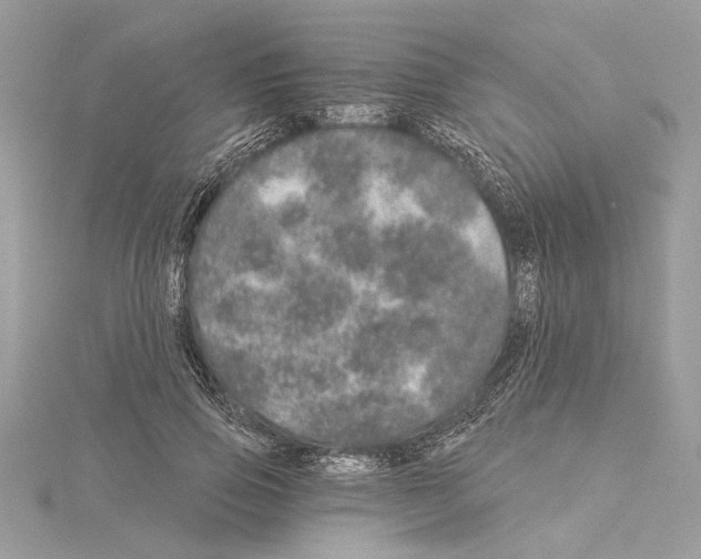 X0000114490741200911301105