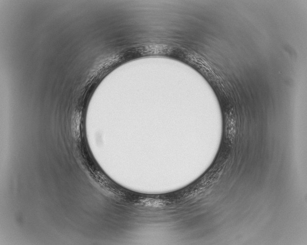 X0000114490742200911301105