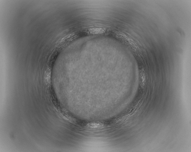 X0000114490745200911301105