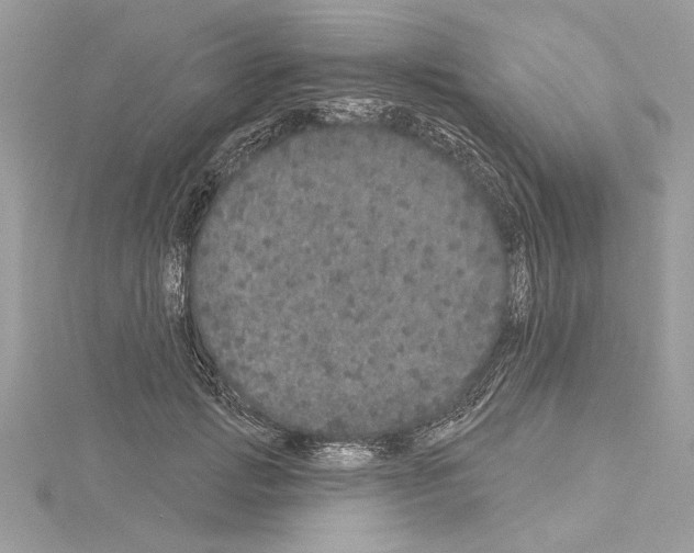 X0000114490749200911301105