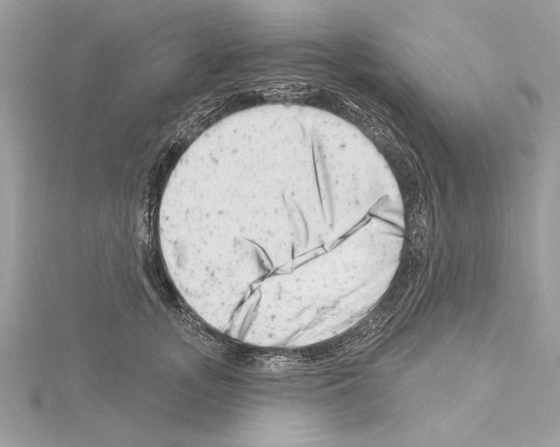 X0000114490755200911301106