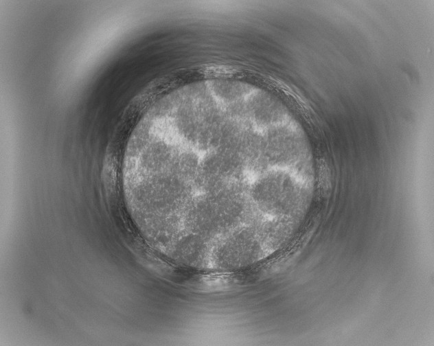 X0000114490761200911301106