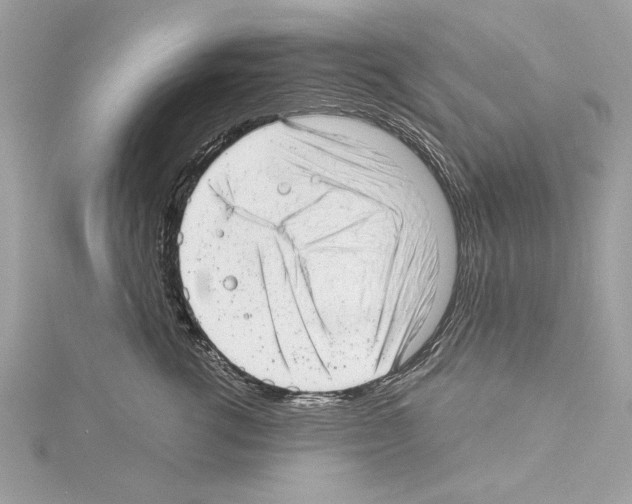 X0000114490762200911301106