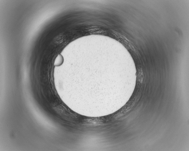 X0000114490763200911301106