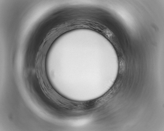 X0000114490765200911301106