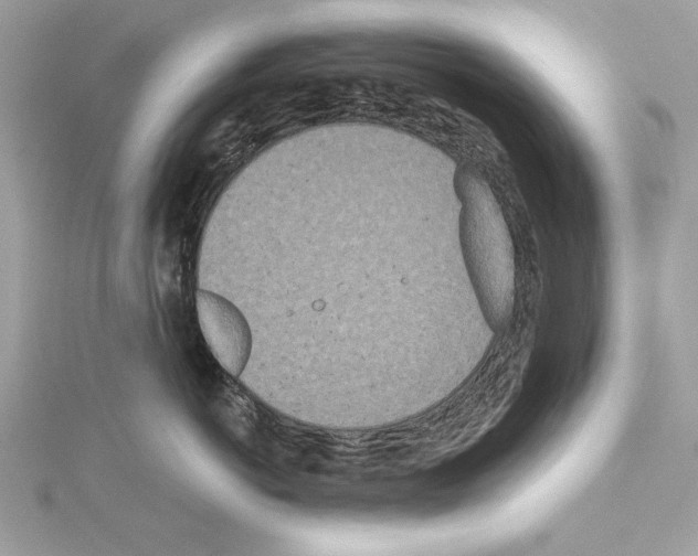 X0000114490766200911301106