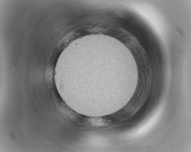 X0000114490767200911301106