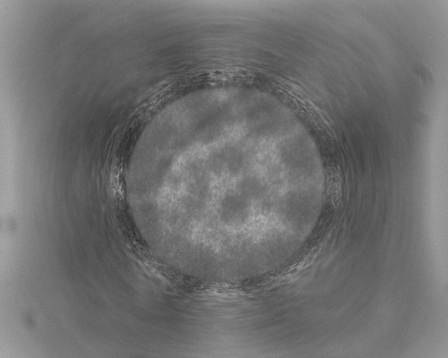 X0000114490770200911301105