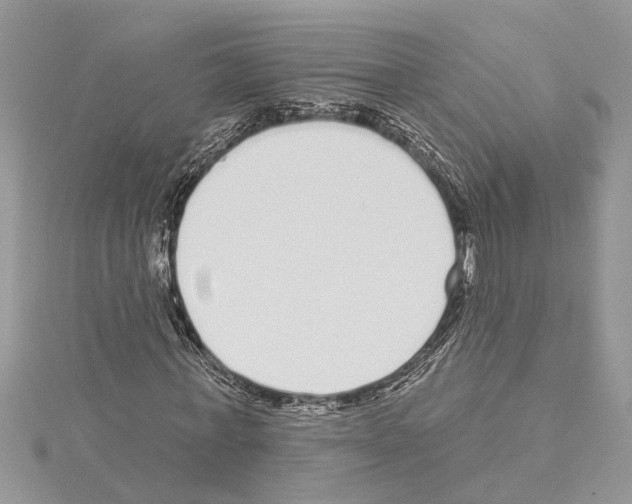 X0000114490771200911301105