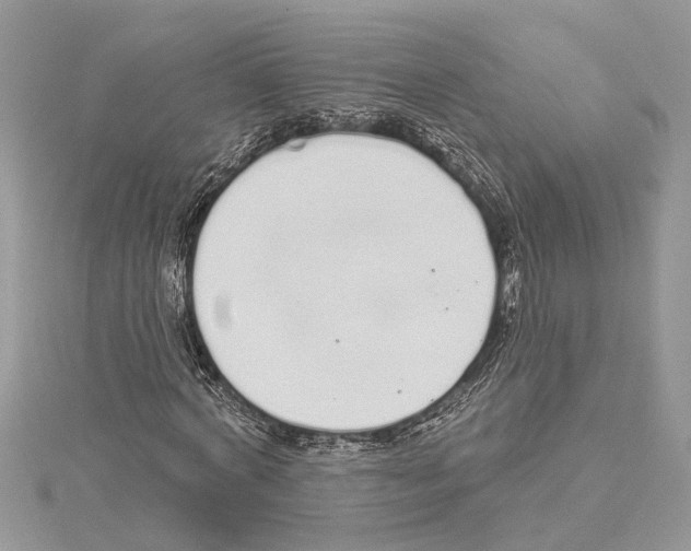 X0000114490772200911301105