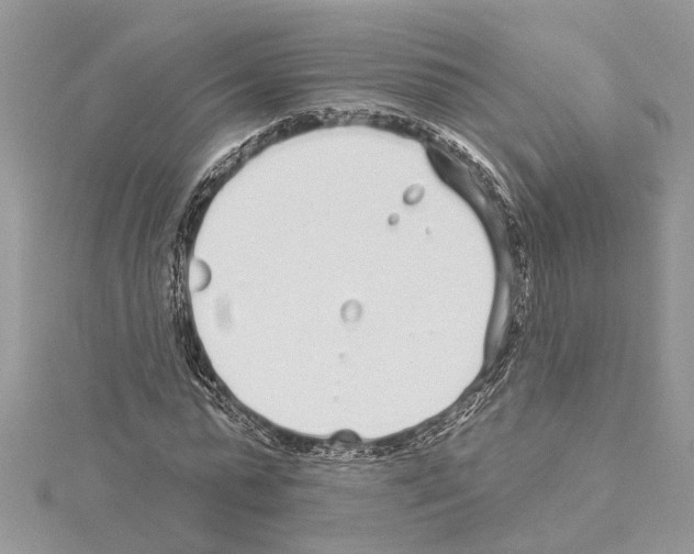 X0000114490775200911301105