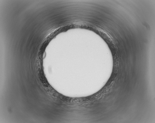 X0000114490776200911301105