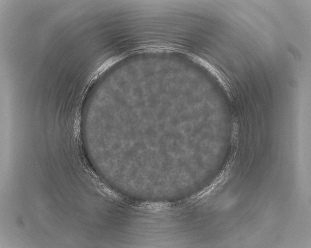 X0000114490778200911301105