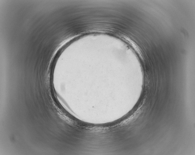 X0000114490779200911301105