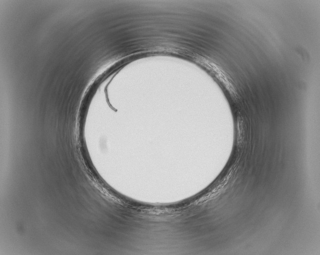 X0000114490780200911301105