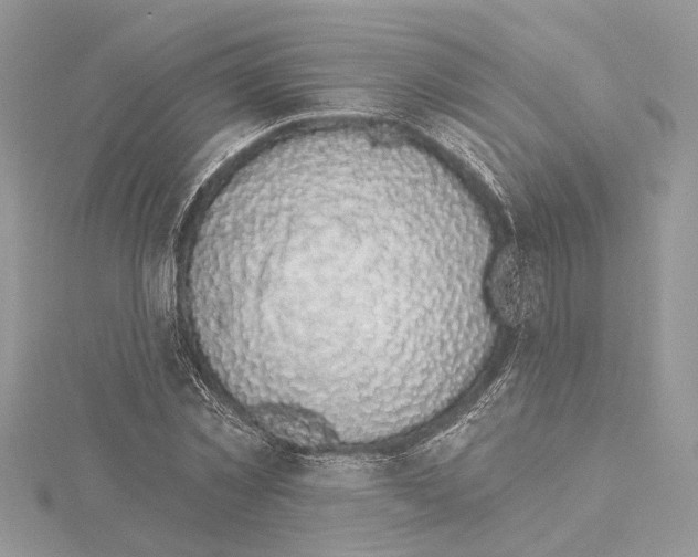 X0000114490781200911301105