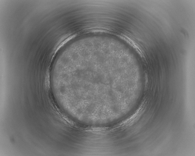 X0000114490782200911301105