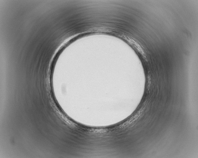 X0000114490784200911301105