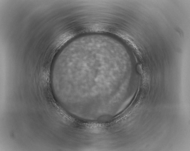 X0000114490785200911301105