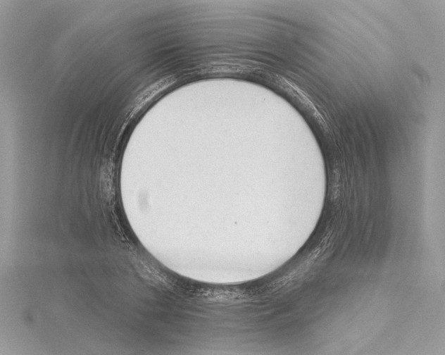 X0000114490786200911301105