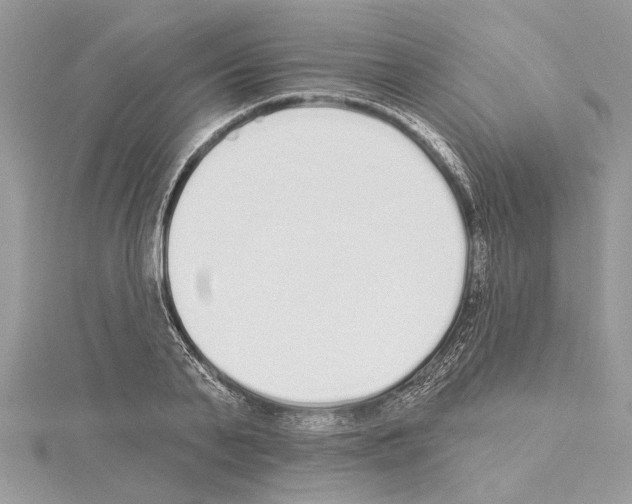 X0000114490791200911301105