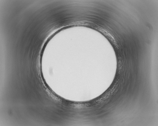 X0000114490792200911301105