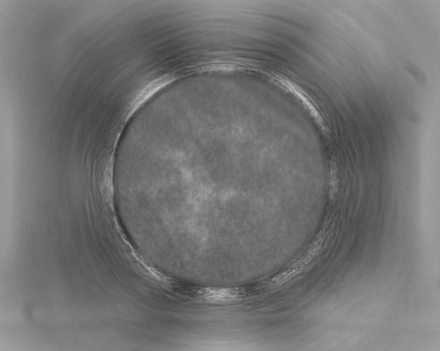 X0000114490794200911301105