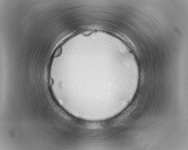 X0000114490798200911301105