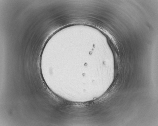 X0000114490799200911301105