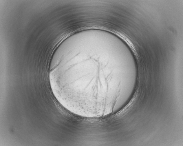 X0000114490801200911301105