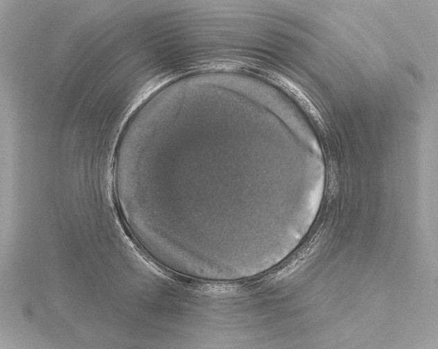 X0000114490802200911301105