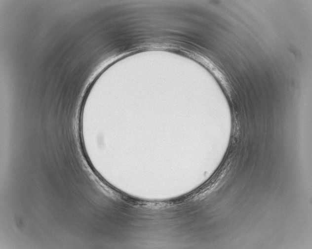 X0000114490803200911301104