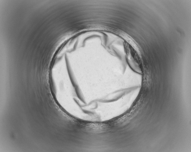 X0000114490805200911301104