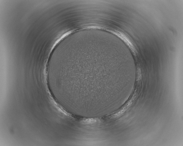 X0000114490806200911301104