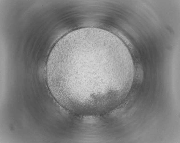 X0000114490807200911301104