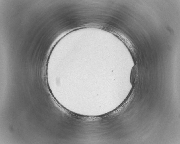 X0000114490808200911301104