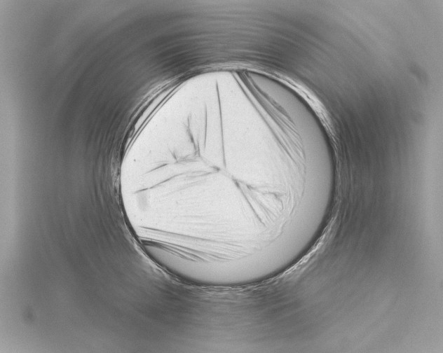 X0000114490809200911301104