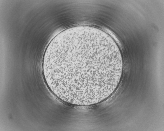 X0000114490810200911301104