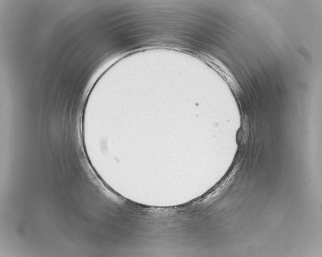 X0000114490812200911301104