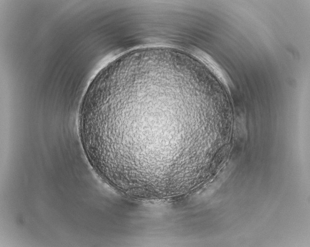 X0000114490813200911301104