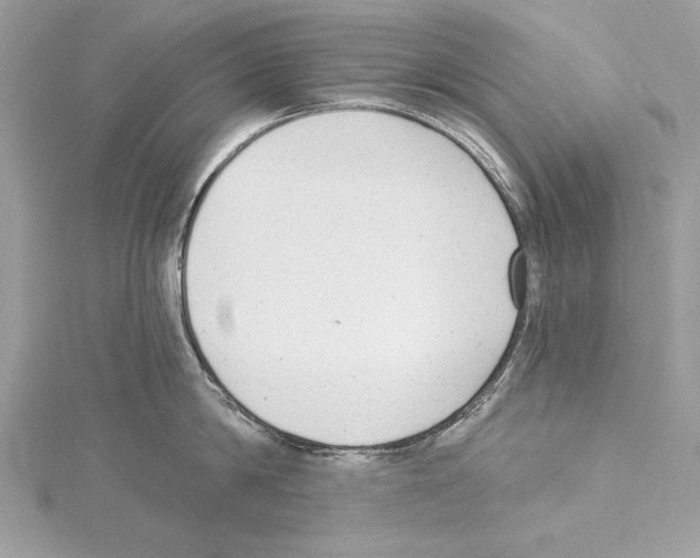 X0000114490814200911301104