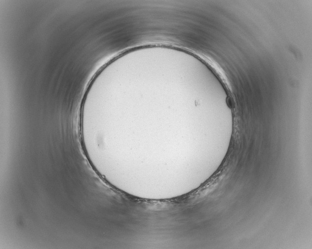 X0000114490815200911301104