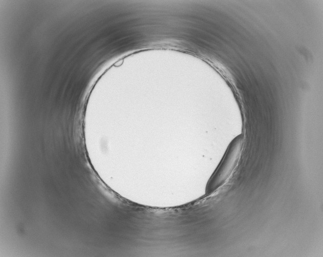 X0000114490816200911301104